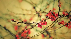 Timeline: Güntheri elu ajatelg.