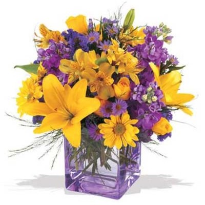 Timeline: Lisandra elu ajatelg