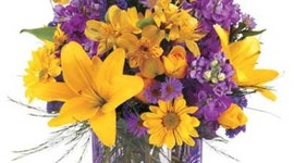 Timeline: Lisandra elu ajatelg