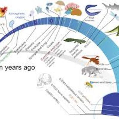 Timeline: LMS6- Courtney Athearn -Timeline