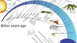 Timeline: LMS6- Courtney Athearn -Timeline