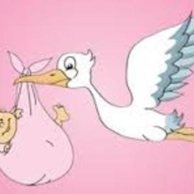 Timeline: LA MIA CARRIERA SCOLASTICA