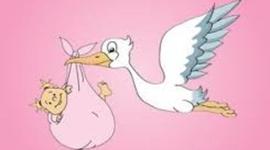 Timeline: LA MIA CARRIERA SCOLASTICA