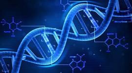 Timeline: Il DNA come materiale genetico