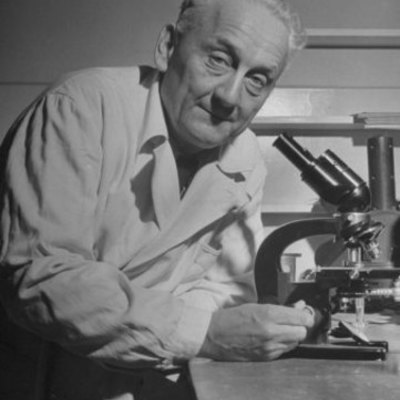 Timeline: Szent-Györgyi Albert