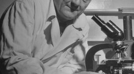 Timeline: Szent-Györgyi Albert