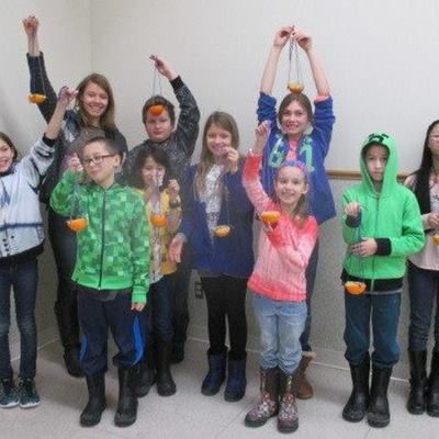 Timeline: Project Wildlife Bowl