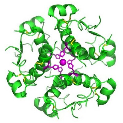 Timeline: Historia de la Insulina