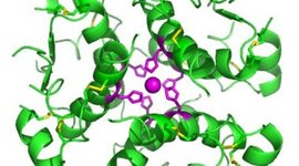 Timeline: Historia de la Insulina