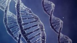 Timeline: DNA timeline