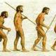 Evolucion