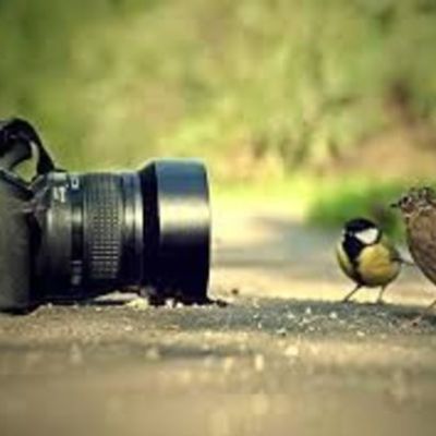 Timeline:  HISTÓRIA DA FOTOGRAFIA, desde a câmara escura até a câmera digital- Adriana de Jesus da Silva Sampaio -Artes Visuais- Polo Itapemirim- Professora: Larissa Zanin