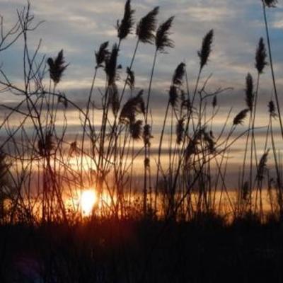 Timeline: My so-called Life Final