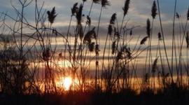 Timeline: My so-called Life Final