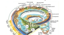 Timeline: History Of The Earth