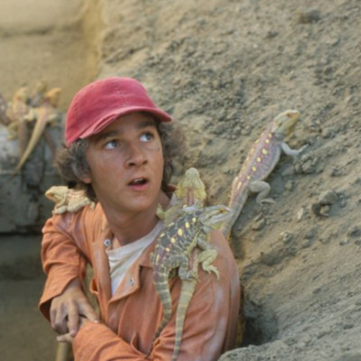 Timeline: Events leading to the Curse in Holes