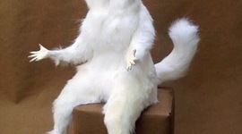 Timeline: Civil Rights Movement