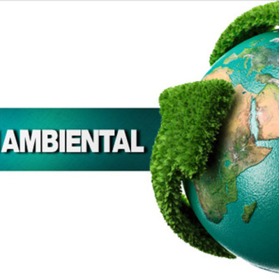 Timeline: GESTION AMBIENTAL