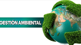 Timeline: GESTION AMBIENTAL