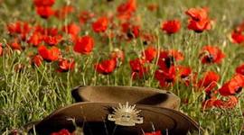 Timeline: Australia's Involvement in WWI