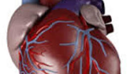 Timeline: Discovery of Circulation