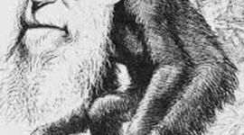 Timeline: Charles Darwin élete