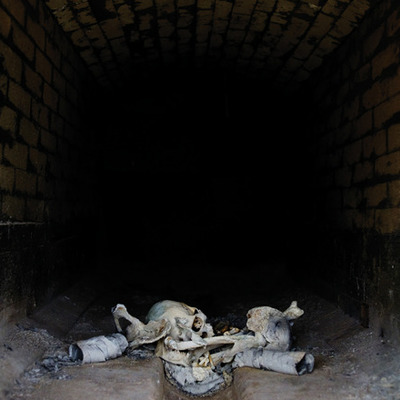 Timeline: testing timeline