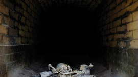 Timeline: testing timeline