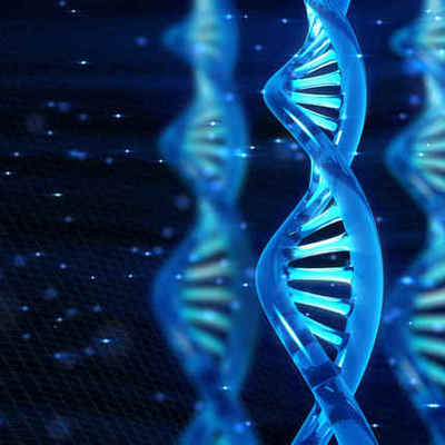 Timeline: PRINCIPALES ACONTECIMIENTOS DEL ADN