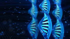 Timeline: PRINCIPALES ACONTECIMIENTOS DEL ADN