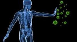 Timeline: Immune System