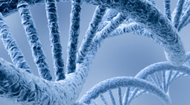 Timeline: Timeline of the Human Genome