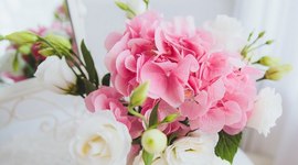 Timeline: Лесина пісня. Біографічний екскурс про життя і творчість Лесі Українки.