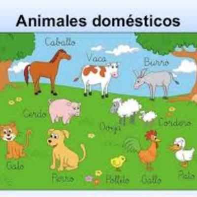Timeline: Domesticación de algunos animales