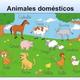 Animales domesticos si