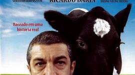 Timeline: Um Conto Chinês