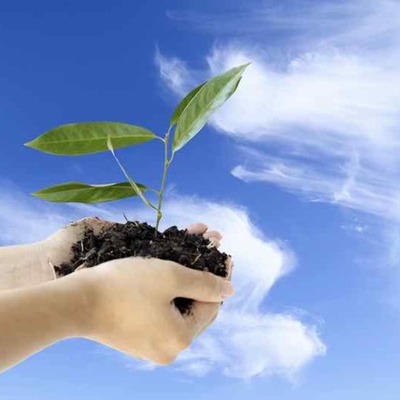 Timeline: Future Projections for the IB