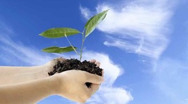 Timeline: Future Projections for the IB