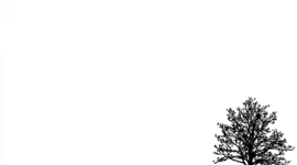 Timeline: Module 1 - Independent Speaking---talk about a familiar topic