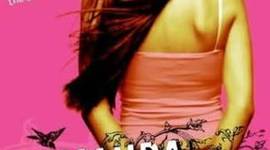 Timeline: the amanda project