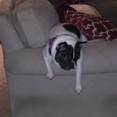 Timeline: Un Jour avec Lexi