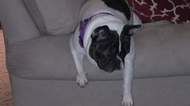 Timeline: Un Jour avec Lexi