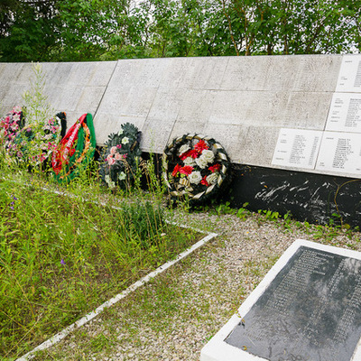 Timeline: Воинское захоронение д. Жестяная Горка (Новгородская область, Батецкий район)