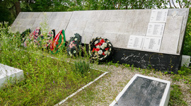 Timeline: Воинское захоронение д. Жестяная Горка (Новгородская область, Батецкий район)