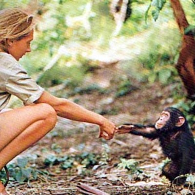 Timeline: Jane Goodall