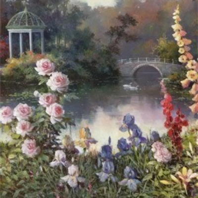 Timeline: derechos politicos