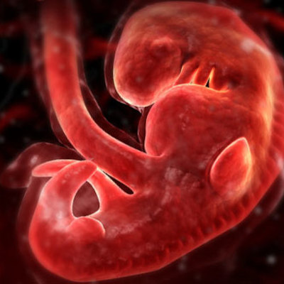 Timeline: First Month