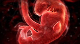 Timeline: First Month