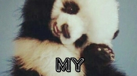 Timeline: Abi Bernstein Geologic Timeline