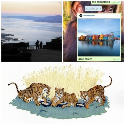 Timeline: Telecolaboración Universitat Barcelona y Groningen Rijksuniversiteit